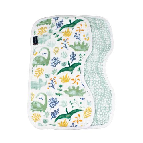 Burp Cloths, Dino Roar/Upscale
