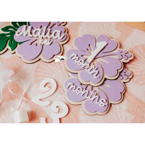 Hibiscus Baby Milestone Photo Prop