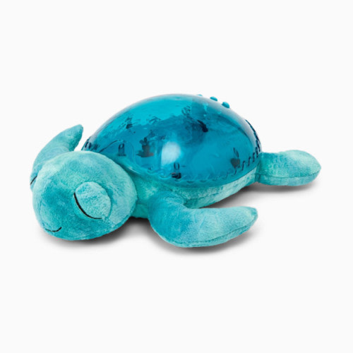 Tranquil Turtle - Aqua