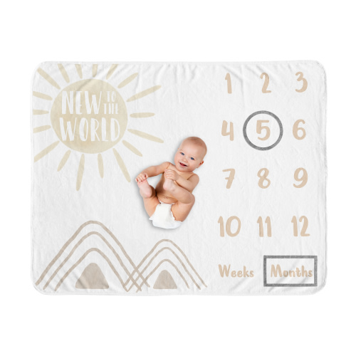 Sweet Jojo Designs Desert Sun Taupe and Ivory Fleece Milestone Baby Blanket 3 Piece Set