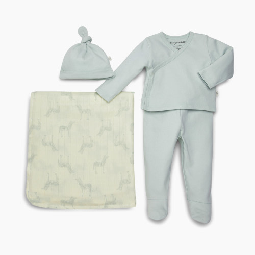 Tiny Kind The New Arrival 4 Piece Set - Cloud Blue Zebra, Nb