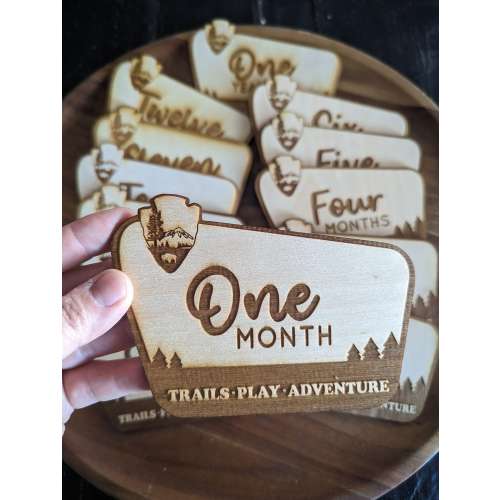National Park Milestone Marker Plates Wood Month Plaque Photo Prop Sign Design Trendy