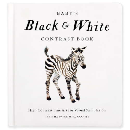 Our Little Adventures Baby's Black and White Contrast Book: High-Contrast Art for Visual Stimulation at Tummy Time, (Board Book)