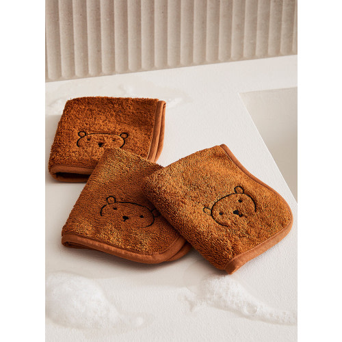 Adorable companion washclothsKids - Set of 3