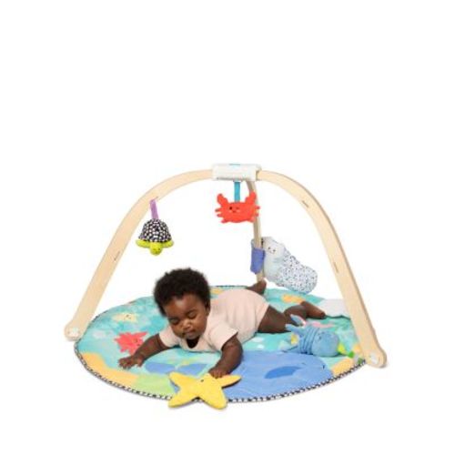 Ocean Easy Fold Play Gym - Ages 3 Months+