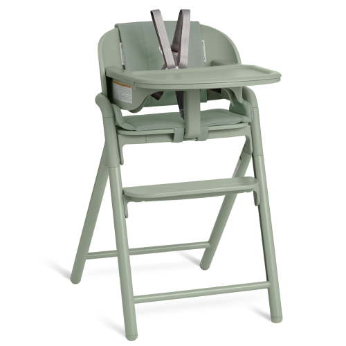 Evolur Step and Savor Convertible High Chair​, Sage - Walmart.ca