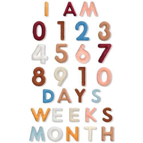 29 Pcs Felt Baby Monthly Milestone Decor Numbers and Letters Newborn Birth Photography Props, 1-12 Months Milestone Number Sign Decor for Toddler Boy or Girl (Boho Color)