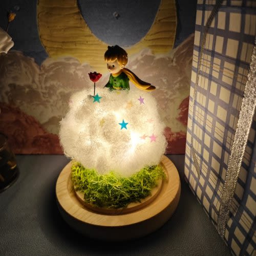 Handmade Little Prince Night Light Star Sequins and Rose - Etsy