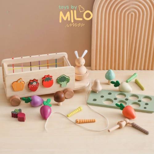 24pc Garden Fruit Truck - Montessori Waldorf Educational Wooden Eco-Friendly Toys - Fruits and Vegetables Play Food Set Personalized