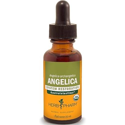 Herb Pharm Certified Organic Angelica Root Liquid Extract for Digestive Support, 1 Fl Oz
