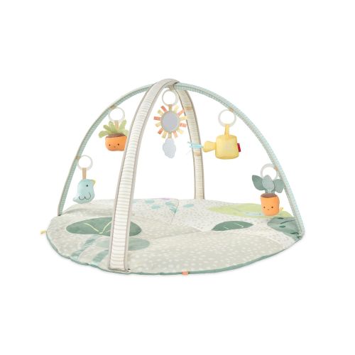 Garden Oasis Activity Gym - Skip Hop | Carter's