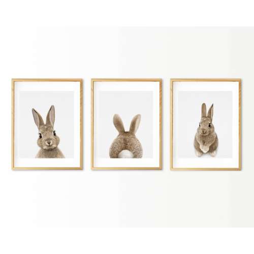 Rabbit Print, Nursery Decor, Rabbit Tail, Baby Room Art Decor, Printable Poster, Woodland Animals, Bunny, Set of 3 Prints, Digital Download