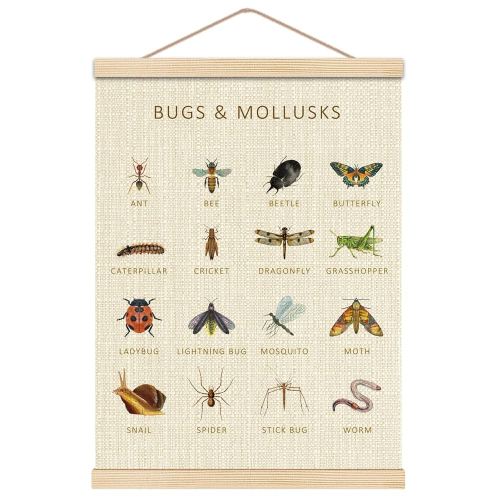 HKTZM Bugs Mollusks Wooden Poster Hangers 12.5x17 Inch,Insects Poster Nursery Decor,Entomology Poster Frame Decor,Educational Wall Poster Wall Hanging Decor For Classroom Kids Playroom Decor