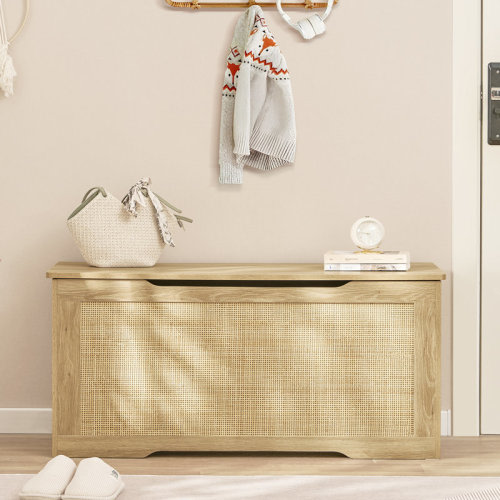 Bay Isle Home™ Bambina Woven Rattan Storage Chest with Safety Hinge & Reviews | Wayfair