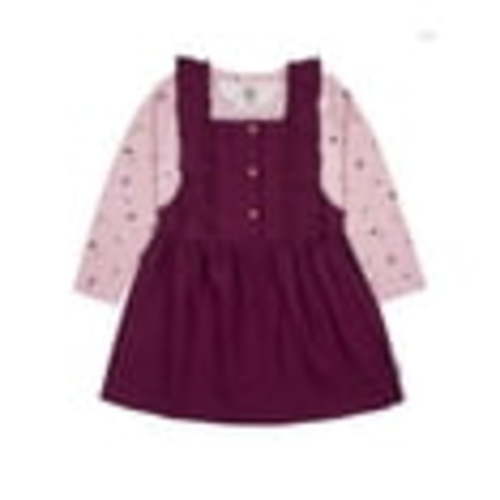 Gerber Baby Girl Jumper and Top Outfit Set, Sizes 12 Months - 2T