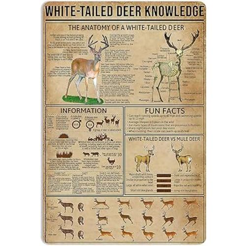 Metal Tin Signs White-Tailed Deer Knowledge Hunting Knowledge Poster Farmhouse Farm Home Kitchen Club Wall Decor 16x12 Inch