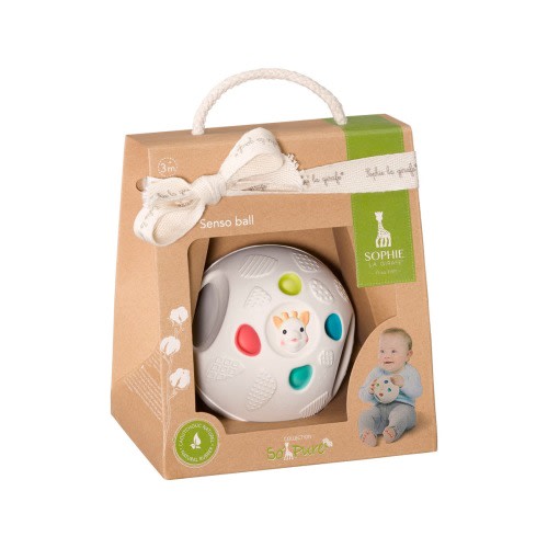 Senso Ball Toy
