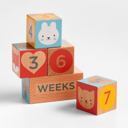 Wooden Milestone Baby Blocks