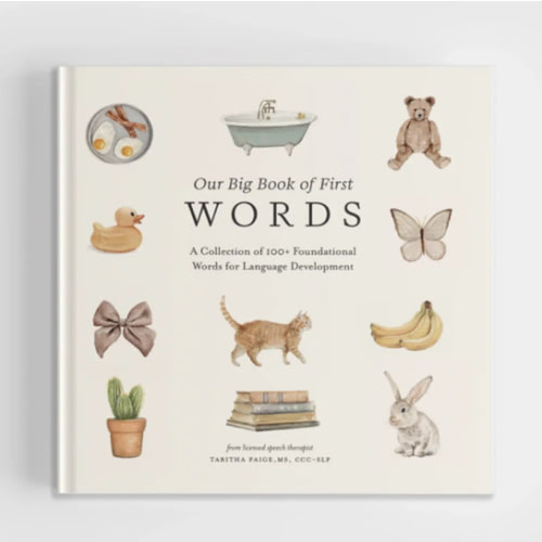 Our Big Book of First Words