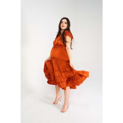 Adeline Nursing and Maternity Dress