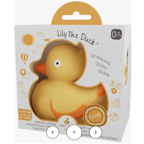 CaaOcho Lily the Duck