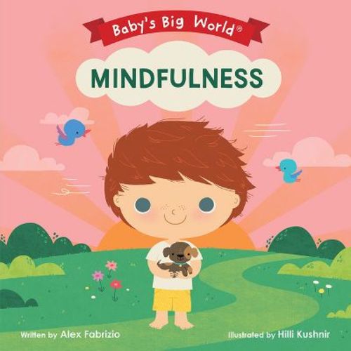 Mindfulness - (baby's Big World) By Alex Fabrizio (board Book)