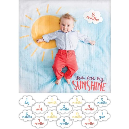 lulujo Baby’s First Year Milestone Blanket and Card Set | 40in x 40in (You are My Sunshine)