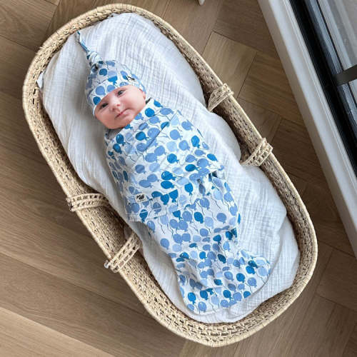 Norani Baby Snugababe Sleep Pod with Arm Inserts - Space Bears