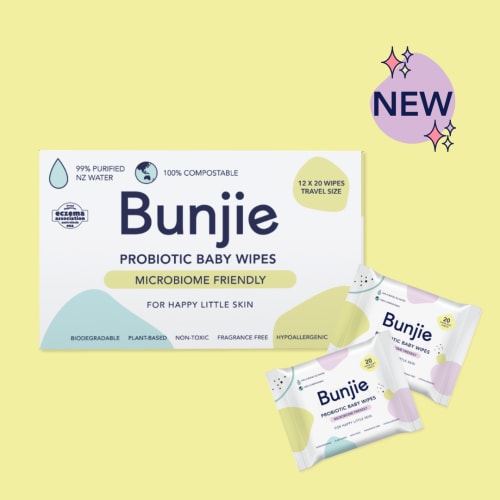 12 x 20 Pack of Travel Wipes