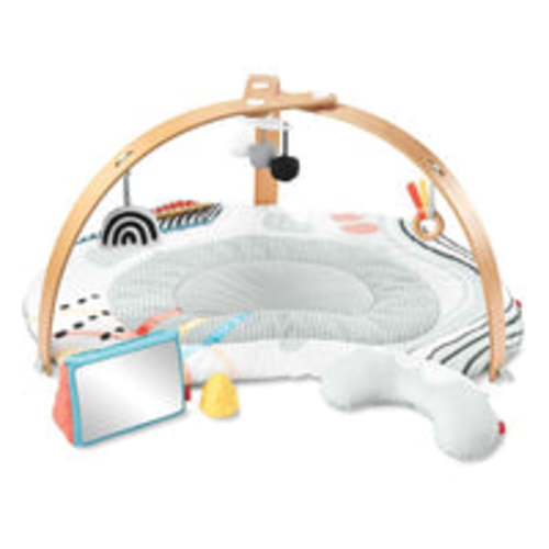 Skip Hop Discoverosity Deluxe Activity Gym - Baby Village