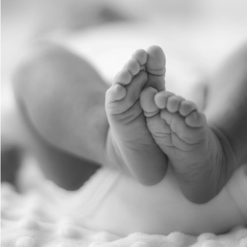 Newborn Photoshoot Fund