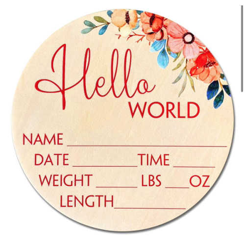Birth Stat Sign for Newborn Baby, 6" Floral Design, Hello World, Gift for New Mom, Baby Shower, Gender Reveal, Crib & Nursery Decor, Pregnancy Announcement, Photography Prop