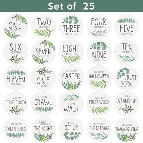 Baby Monthly Stickers | Floral Baby Milestone Stickers | Newborn Girl Stickers | Month Stickers for Baby Girl | Baby Girl Stickers | Newborn Monthly Milestone Stickers (Set of 24) - Greenery Botanicals