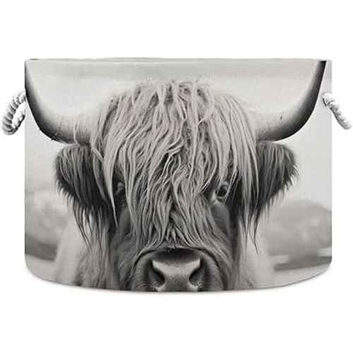 xigua Cotton Rope Basket Highland Cow Baby Laundry Basket Blanket Kids Toy Storage Basket Glove Box