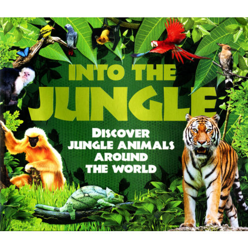Into The Jungle by Camilla de la Bédoyère | The Scholastic Teacher Store