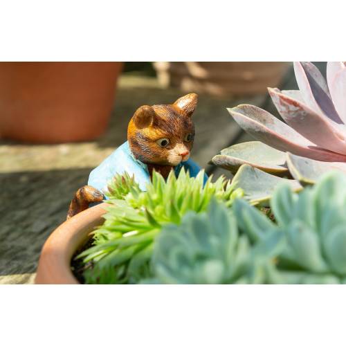 Beatrix Potter, Tom Kitten, Pot Buddy, Pot Hanger, Gift Boxed, Garden Gifts, Antique Decor, Pot Hanging, Yard Decor, Garden