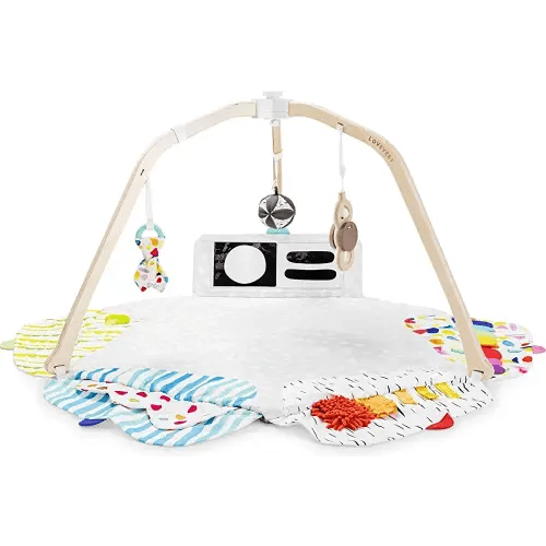 The Play Gym by Lovevery | Stage-Based Developmental Activity Gym & Play Mat for Baby to Toddler, 1 Count (Pack of 1)