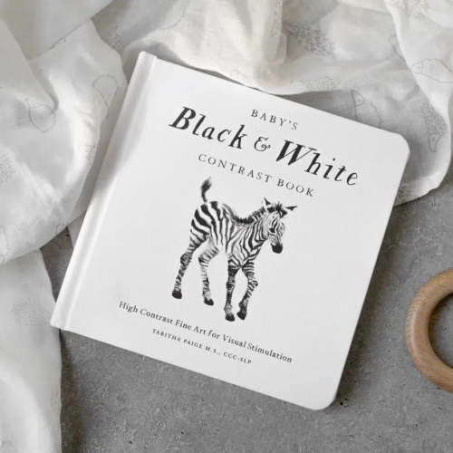 Paige Tate & Co. - Baby's Black and White Contrast Book