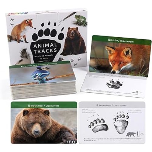 MEROCO Forest Animals Tracks Cards for Kids,Animal Tracks Matching Game,Animal Flash Cards,Homeschool Animal Games Kids Learning Educational Toys Preschool Autism Learning Materials