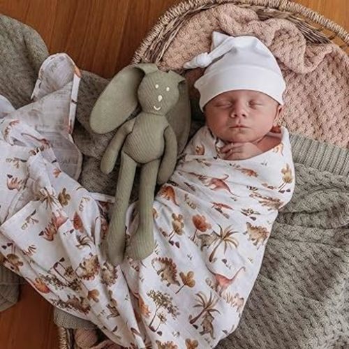 Snuggle Hunny (newborn)