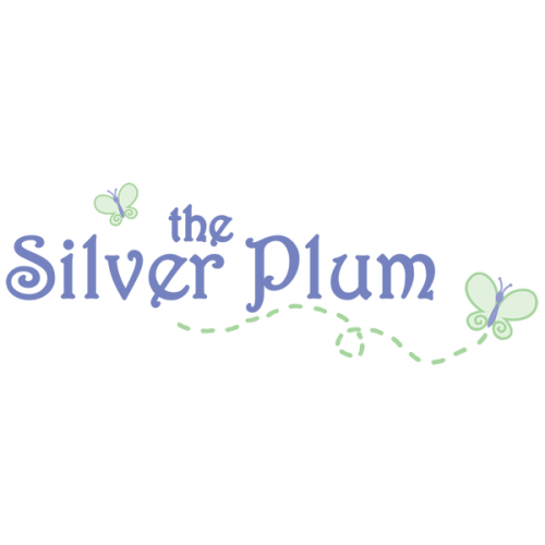 Worth the Wait Zipped Blue Footie – The Silver Plum