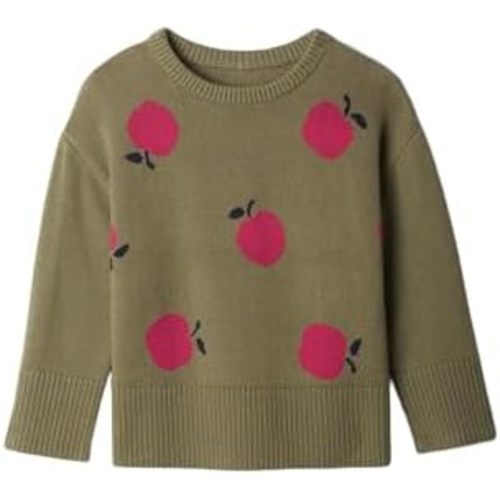 GAP Baby Girls' Intarsia Sweater