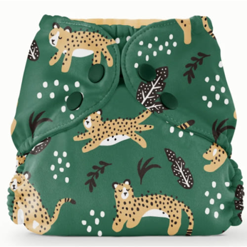 Outer–WWF Wildcats / One