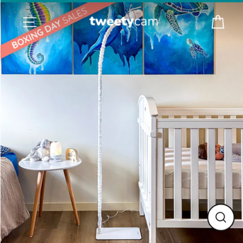 Floor Stand Tweety Cam