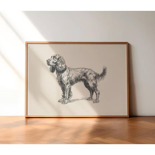 Boykin Spaniel Vintage Wall Art, Dog Retro Poster, Antique Vintage Painting, Boykin Spaniel Dog Drawing, Boykin Spaniel Wall Art Decor