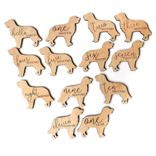Golden Retriever Baby Milestone Plaques 7pcs 5in, Dog Nursery Gift, Custom Newborn Gift
