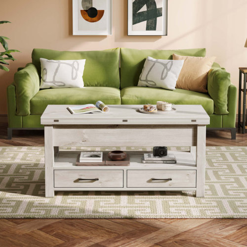 Millwood Pines Chumani Lift Top Coffee Table with Storage & Reviews | Wayfair