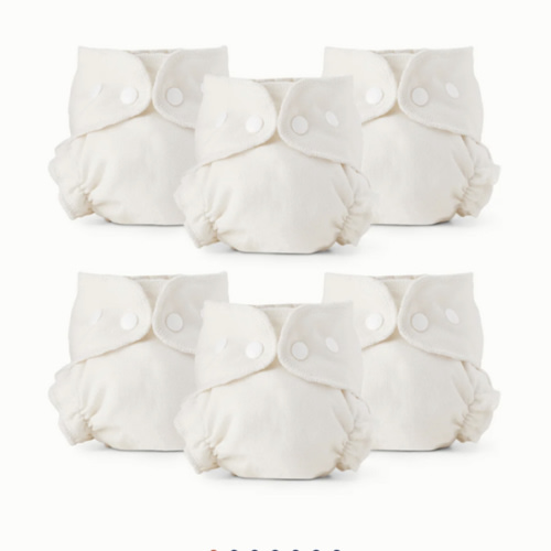 Esembly Inner Diaper 6 Pack