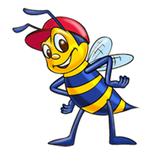 Home -Billy Beez