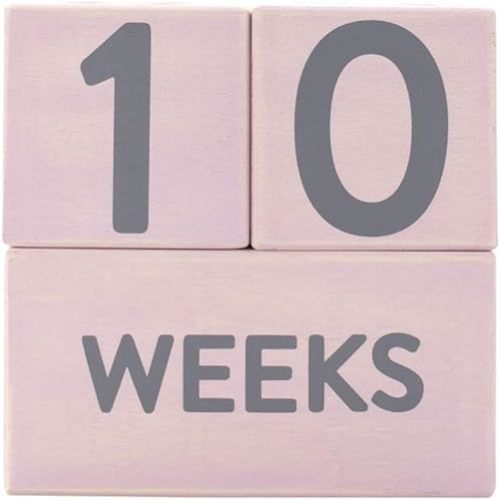 Pearhead Baby Plush Photo Sharing Milestone Age Blocks, Picture Prop, Set of 3 Blocks, Gray
